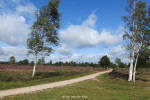 Sallandse Heuvelrug